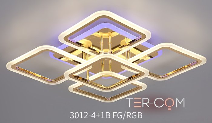 3012/4+1 FGD+RGB