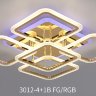 3012/4+1 FGD+RGB