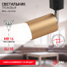 ЭРА TR14-GU10 SG MR16 сатин золото